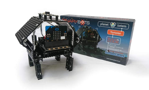 BinaryBots - Totem Tortoise