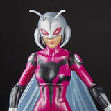 Marvel Legends Ant-Man and Stinger 6-Inch Action Figures 2-Pack - Toys R Us Exclusive …