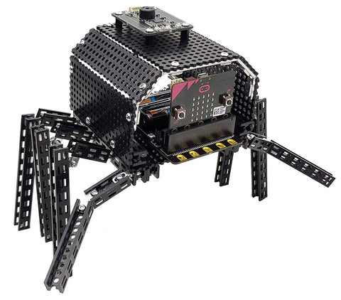 BinaryBots - Totem Spider