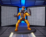 Marvel X-Men 6-inch Legends Series Sabretooth